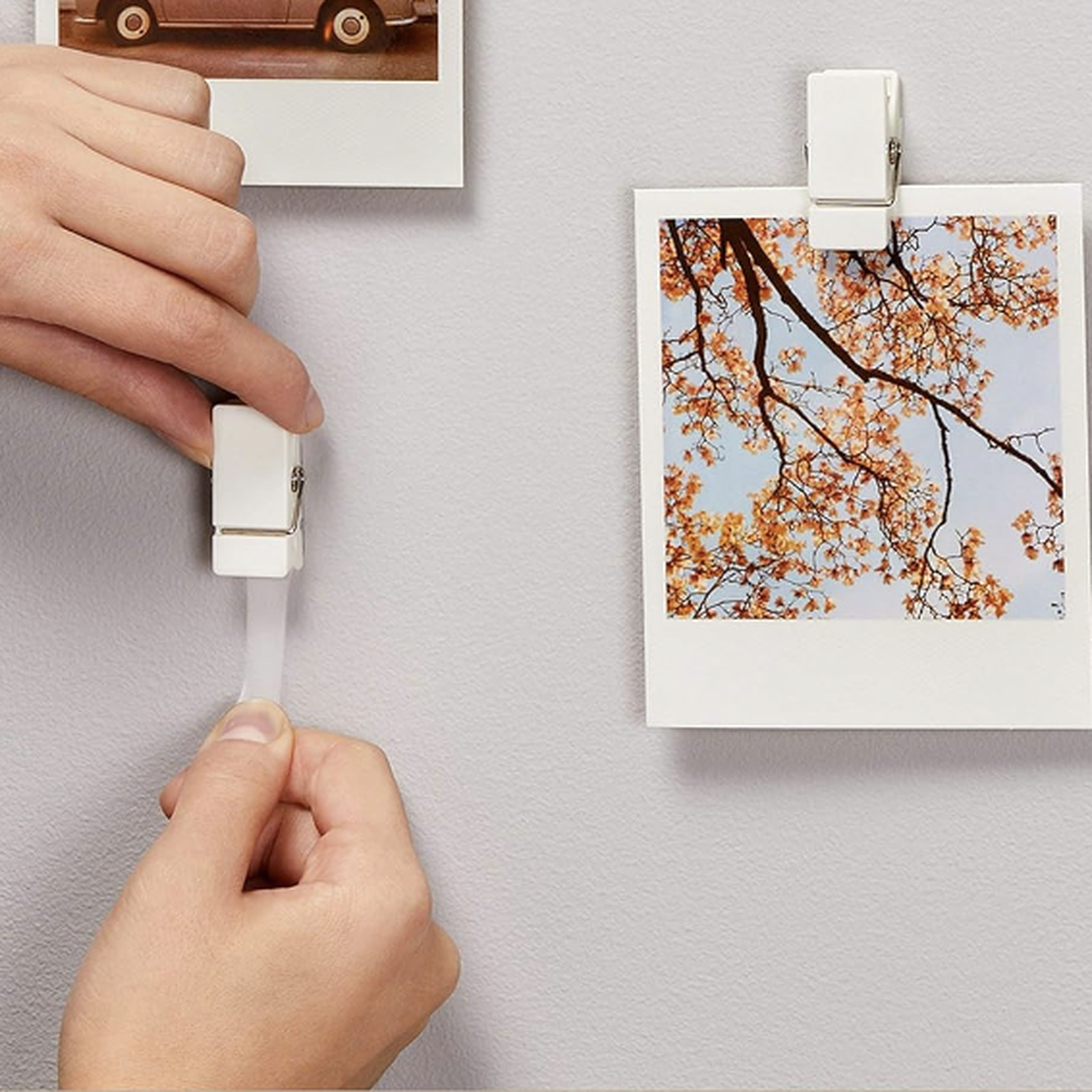 Hand taping clip to the wall, other clips hold photos